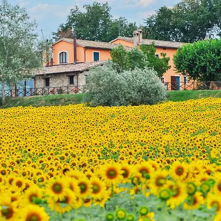 Holiday home Lovely In Frazione Marcellano