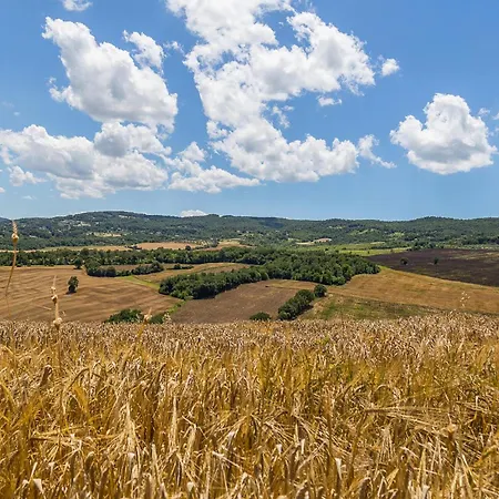 Holiday home Lovely In Frazione